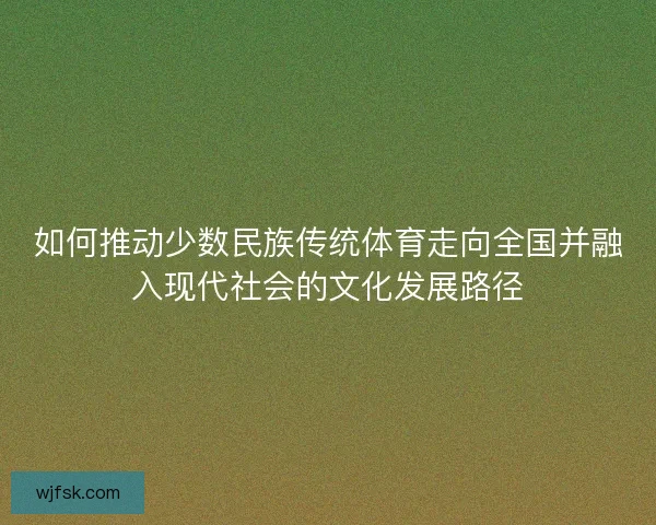 如何推动少数民族传统体育走向全国并融入现代社会的文化发展路径